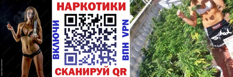 Виды наркоты Элиста COCAIN  A PVP  МЕФ  ГАШ  Марихуана 