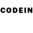 Псилоцибиновые грибы GOLDEN TEACHER INDOM