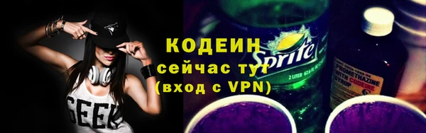 дурь Михайловск