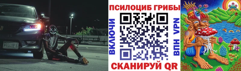 где найти   Элиста  Галлюциногенные грибы мухоморы 