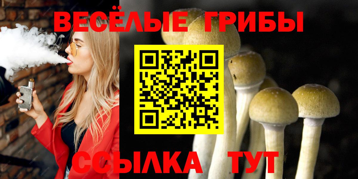 Псилоцибиновые грибы GOLDEN TEACHER  Вход с VPN  Галлюциногенные грибы ЛСД  Элиста 
